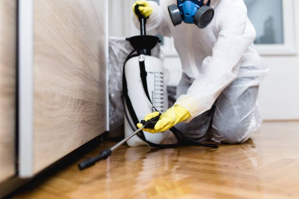 Best Pest Control Near Me  in Matta, WA