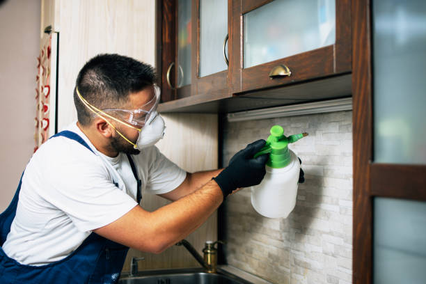 Best Pest Control Near Me  in Matta, WA