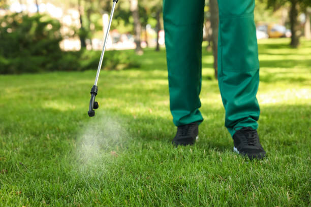 Reliable Mattawa, WA Pest Control Solutions