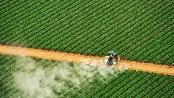 Best Best Pest Control Companies  in Matta, WA