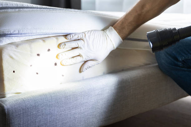 Best Exterminator Services  in Matta, WA