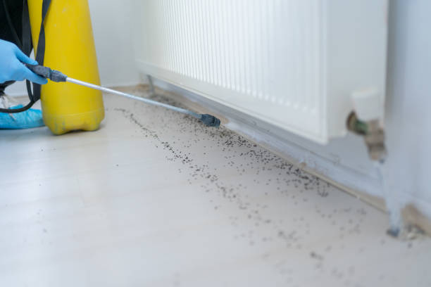 Best Emergency Pest Control  in Matta, WA