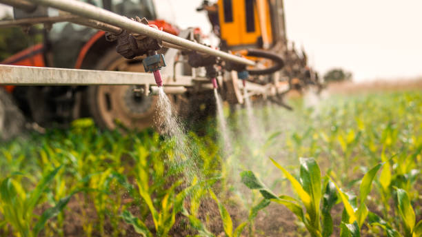 Best Best Pest Control Companies  in Matta, WA